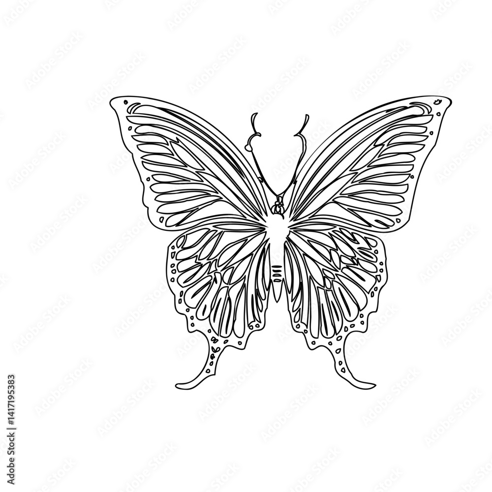 Intricate Line Art Butterfly Design on White Intricate Line Art Butterfly Design on White