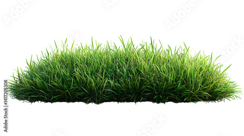 Grass patch with realistic shadows, natural ground texture, isolated on white background
