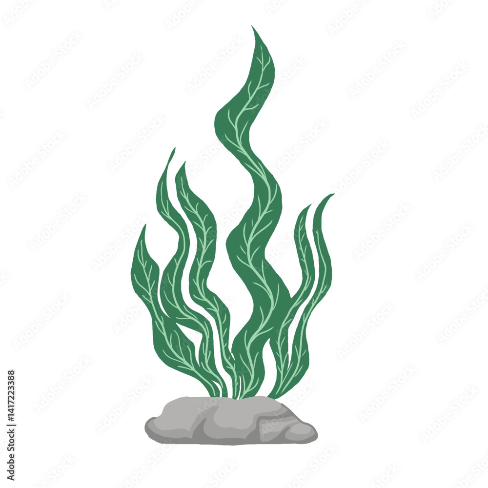 hand-drawn Vector illustration doodle Seaweed Algae underwater organism. Organic Aquatic Plants Illustration. stock illustration hand-drawn Vector illustration doodle Seaweed Algae underwater organism. Organic Aquatic Plants Illustration. stock illustration