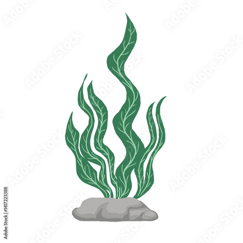 hand-drawn Vector illustration doodle Seaweed Algae underwater organism. Organic Aquatic Plants Illustration. stock illustration