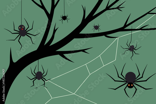 spider on a web