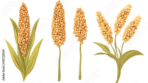 Detailed Illustration of Sorghum Plants with Yellow Grains and Green Leaves