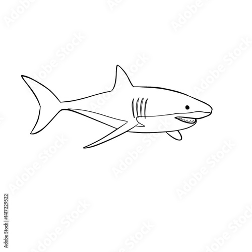 Hand-drawn shark illustration vector line art sketch isolated on white background