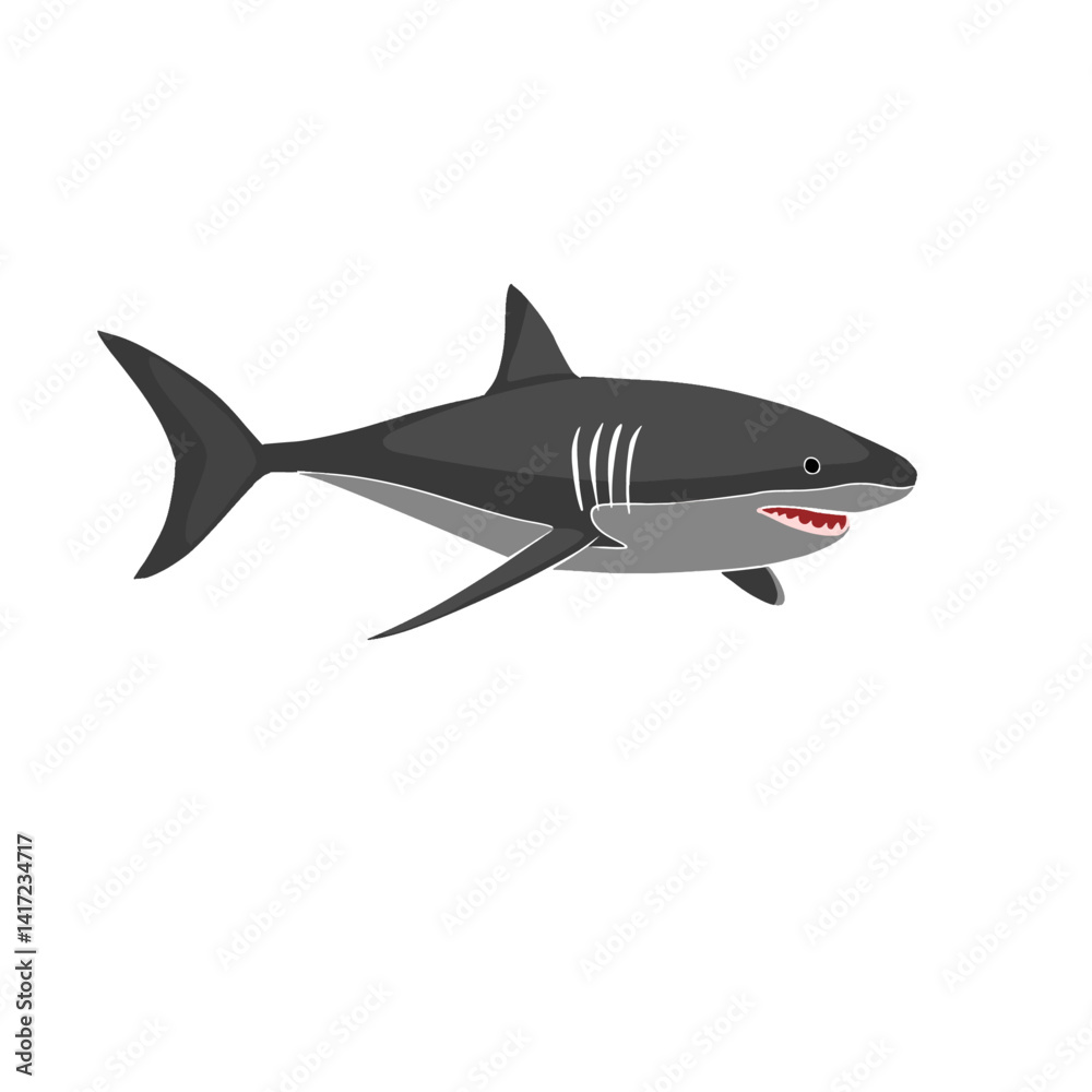 Obraz premium Hand-drawn vector illustration of Shark Fish isolated on a white background