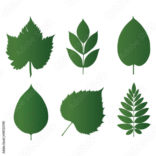 A leaf vector set  with White background
