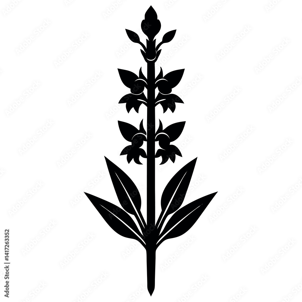 A tall sword-shaped-gladiolus-stem-bearing-multiple A tall sword-shaped-gladiolus-stem-bearing-multiple