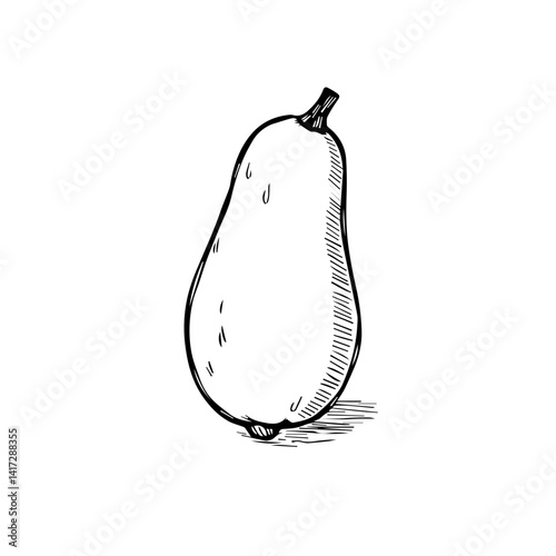 Hand-drawn pear illustration on a white background  