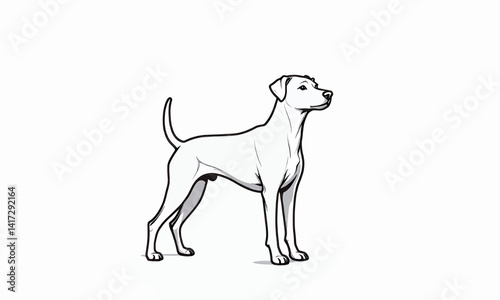 Elegant white dog sketch on white background
