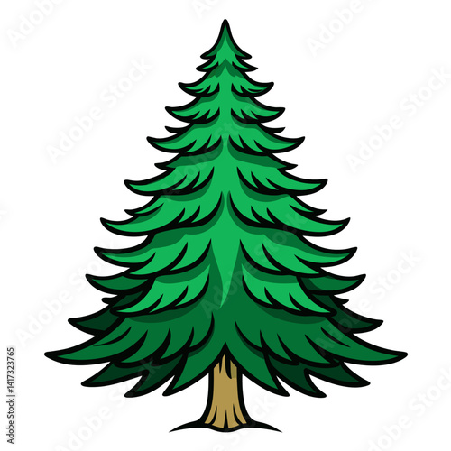  Balsam Fir Tree Bold Illustration Design