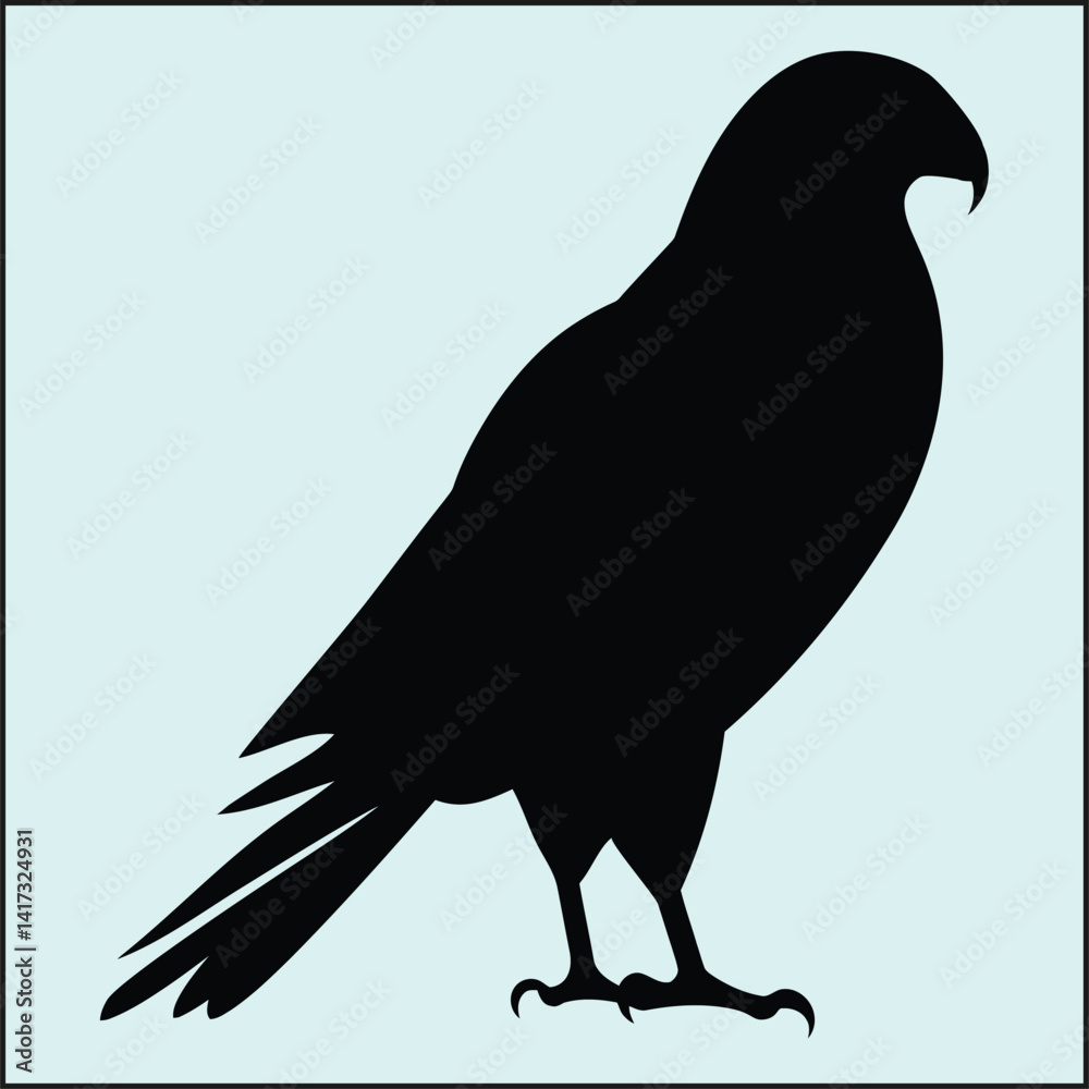 Obraz premium Falcon Silhouette, Flight