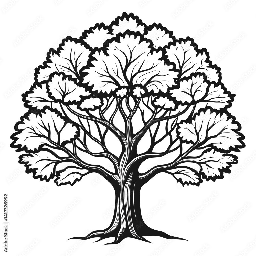 Obraz premium Captivating Camphor Tree Illustration