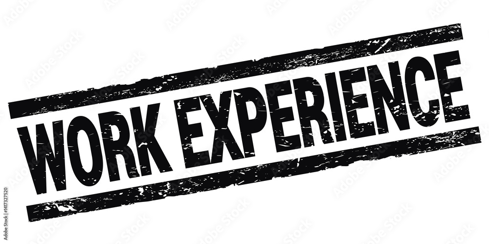 WORK EXPERIENCE text on black rectangle stamp sign.
