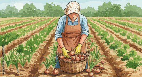 Woman harvesting onions in a field on a sunny day  