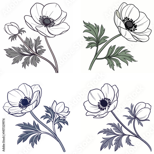 A delicate anemone flower icon with a dark center and smooth 
petals