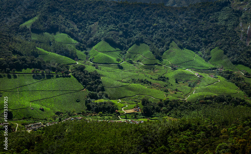 Beautiful tea gardens surrounded by Mountains is a tourist place in South India, Kerala, Munnar.