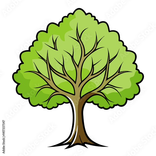  Vivid London Plane Tree Illustration