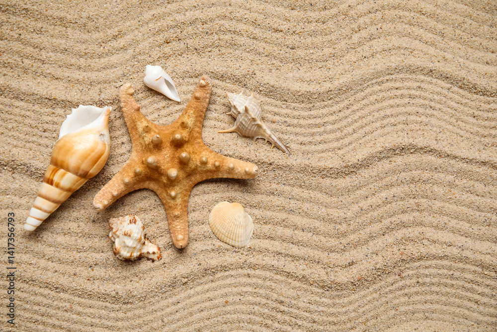 Many different sea shells and starfish on sand Many different sea shells and starfish on sand