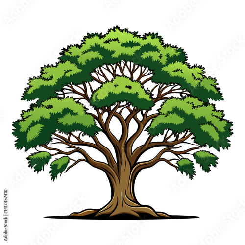  Vivid Southern Live Oak Tree Illustration