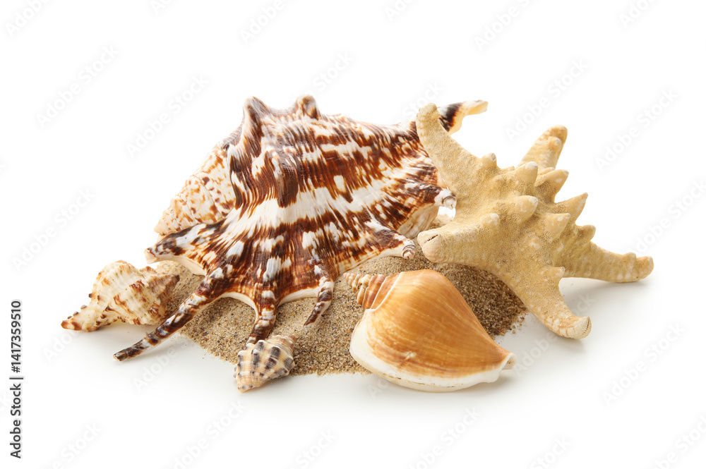 Fototapeta premium Different sea shells, sand and starfish on white background