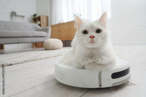 Cute white cat lying on rob...