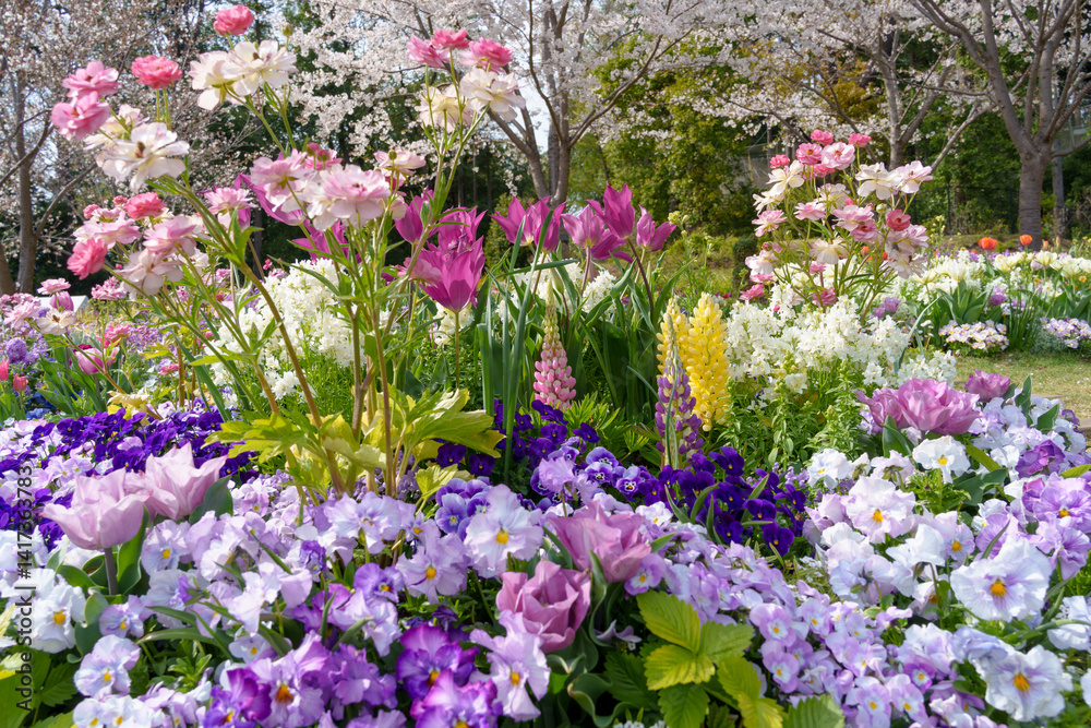 様々な花が咲き乱れる美しい花壇。
Beautiful flower beds with a variety of flowers.