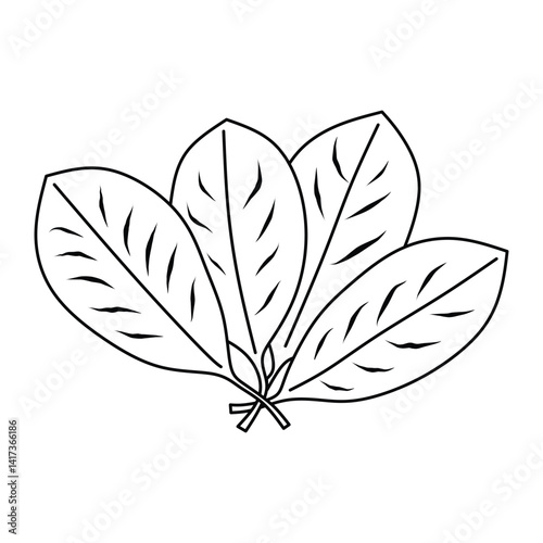 Monochrome drawing of spinach leaves in an artistic and simple design, representing nature and health.