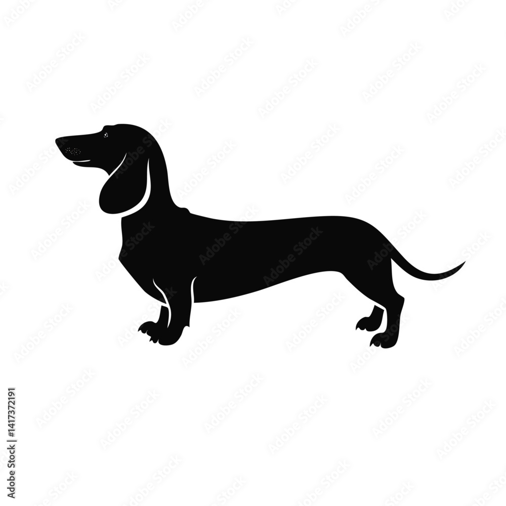 Dachshund dog. Vector black silhouette graphic design Dachshund dog. Vector black silhouette graphic design