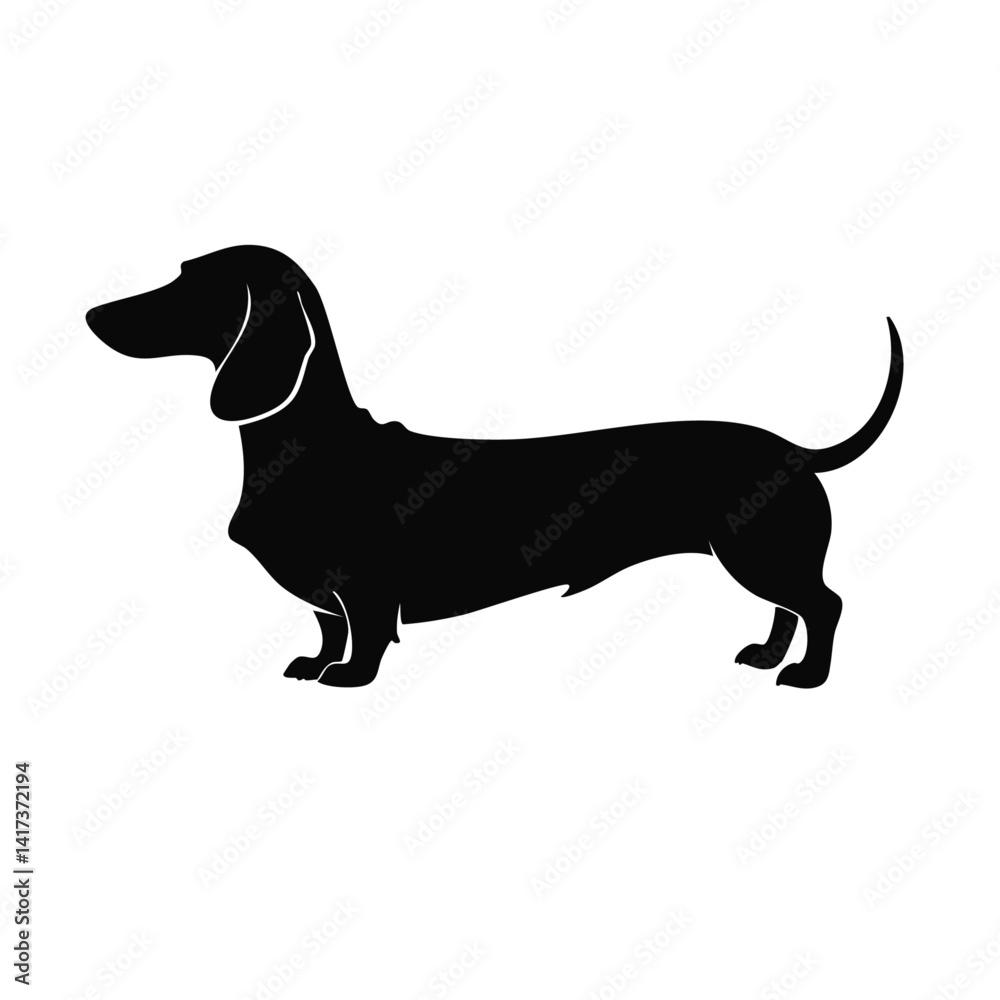 Dachshund dog. Vector black silhouette graphic design