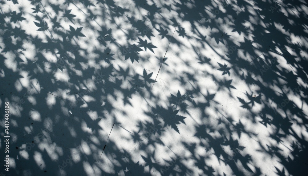 Intriguing play of shadow patterns from maple leaves on concrete surface urban street nature photography sunlit environment top-down view artistic concept Intriguing play of shadow patterns from maple leaves on concrete surface urban street nature photography sunlit environment top-down view artistic concept