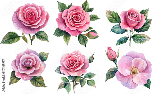 seamless pattern with roses