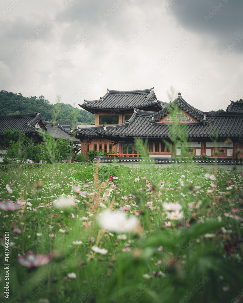 Korean Traditional Village Garden with flowers Korean Traditional Village Garden with flowers