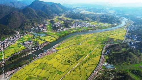 4k Video Showcasing the Breathtaking Fields and Rolling Hills of Guizhou's Golden Sea and Snowy Mountains