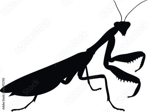 Black praying mantis silhouette with raised forelegs, ideal for logos, tattoos, or nature-themed designs