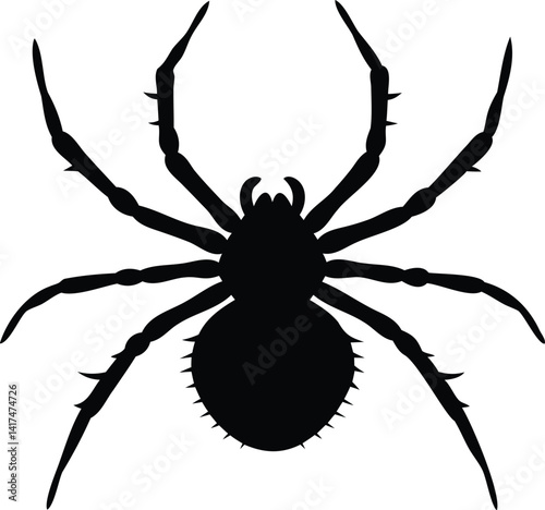 Detailed Black and White Vector of a Standalone Spider with Bold Form