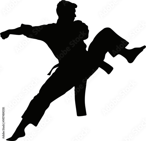 Mastering the Self: A Dramatic Silhouette of a Karate Expert Executing a Flawless Kick, Illustrating the Harmony Between Mind, Body, and Spirit in Martial Arts Practice