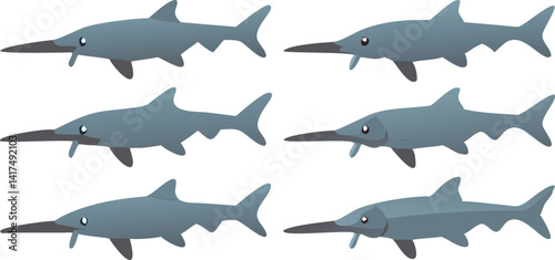Six illustrations of a long-nosed gar fish showing variations in body shape and size