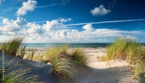 Dunes with dune grass on the Baltic Sea Blue sky with white clouds Nature shot