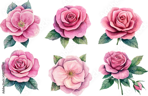 seamless pattern with roses