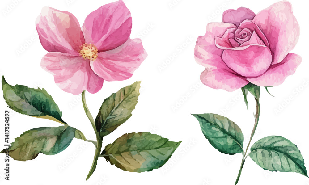 Fototapeta premium set of pink flowers