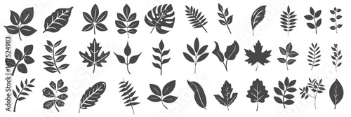 Black fill leaves or leaf hand draw simple outline bold and easy icon set illustration SVG. tropical flat art design isolate transparent background minimal.