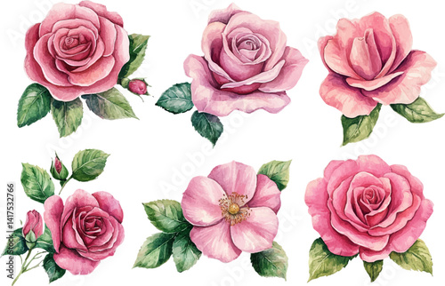 seamless pattern with roses