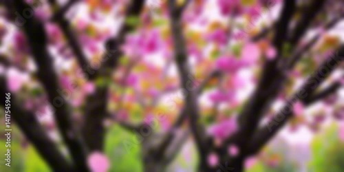 Abstract blurred video of pink cherry blossom tree with falling petals. Dreamy spring sakura animation, soft focus floral background with bokeh