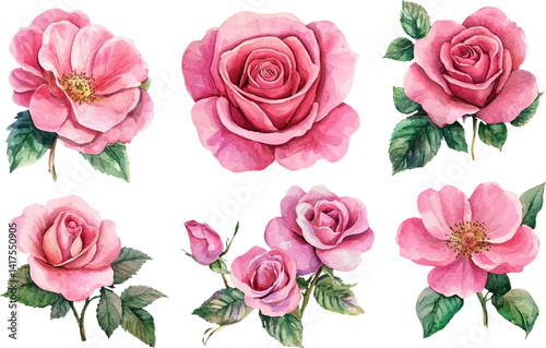 seamless pattern with roses