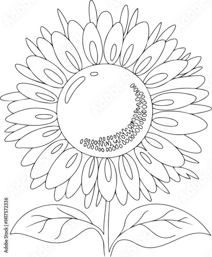 Elegant sunflower line drawing in a black and white palette with a large central core and expressive, hand-sketched petals giving a creative and organic impression