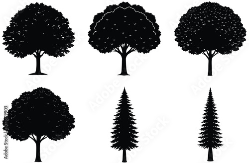 A vector set features black silhouettes of various trees, including pine, palm, oak, and birch, illustrating a natural forest collection