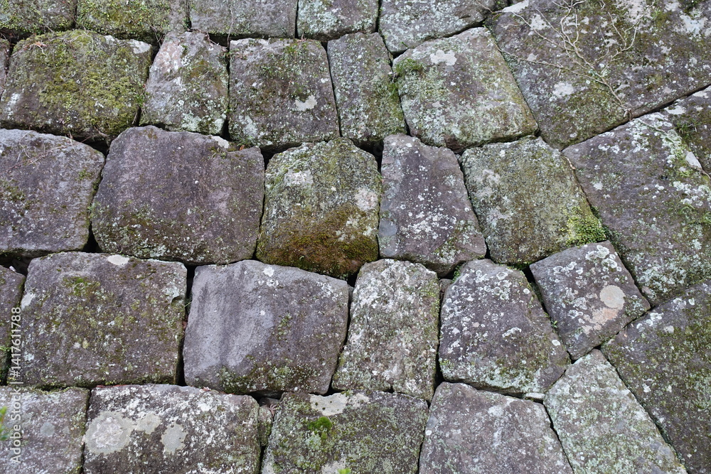 Obraz premium 小田原城の石垣