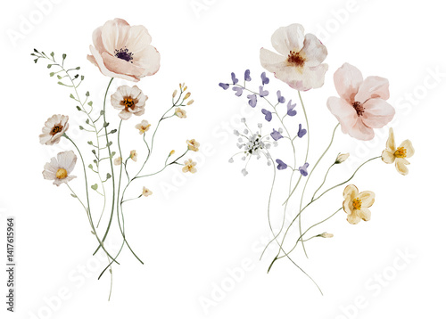 Watercolor Illustration Bouquet of Summer Meadow Flowers and Herbs