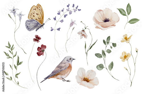 Set of watercolor elements with meadow flowers and butterflies