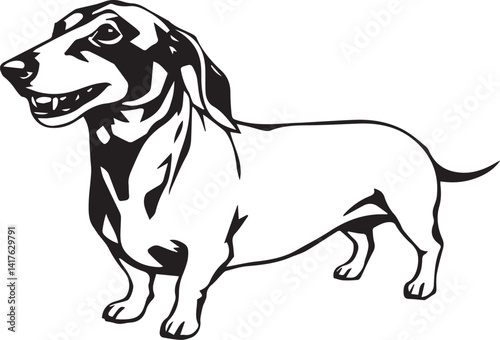 A dachshund dog. Hand drawn vector illustration