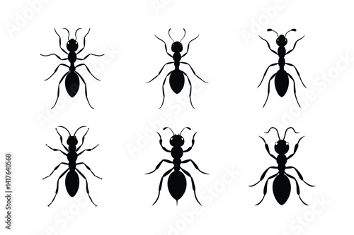 Ant silhouette Silhouette vector bundle illustration, Set of Ant silhouette Silhouette 